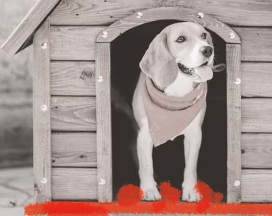 6 Cats and dogs house heaters
